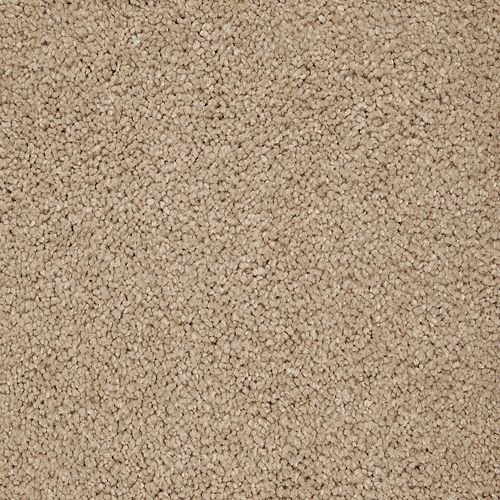 Awaited Delight|Belvedere|2W89-518 - Sample