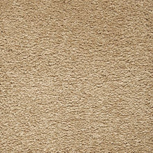 Load image into Gallery viewer, Awaited Delight|November Foliage|2W89-529 - Sample