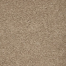 Load image into Gallery viewer, Awaited Delight|Tudor Brown|2W89-527 - Sample