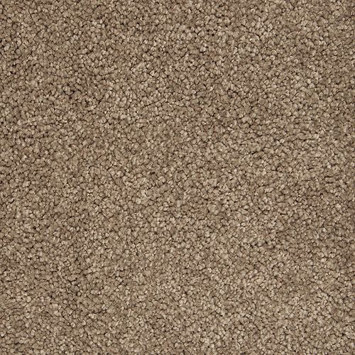 Awaited Delight|Woodland|2W89-537 - Sample