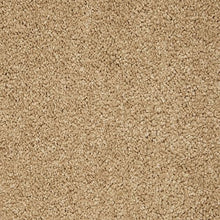 Load image into Gallery viewer, Awaited Delight|Canterbury|2W89-528 - Sample