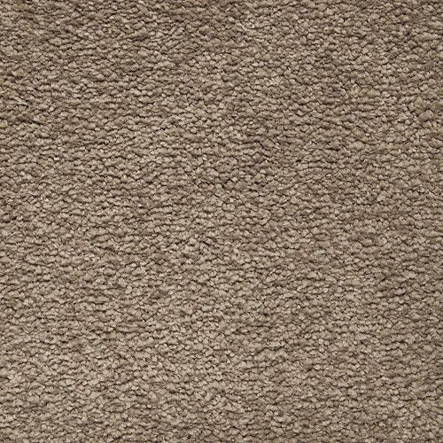 Awaited Delight|Gondola|2W89-526 - Sample