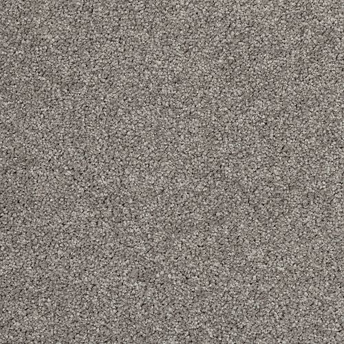 Awaited Delight|Urban Putty|2W89-525 - Sample