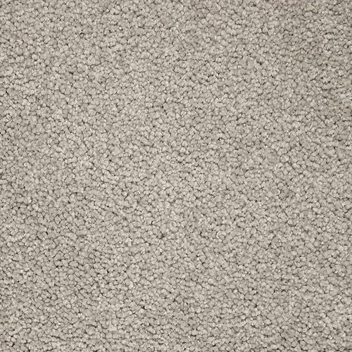 Awaited Delight|Mindful Grey|2W89-515 - Sample