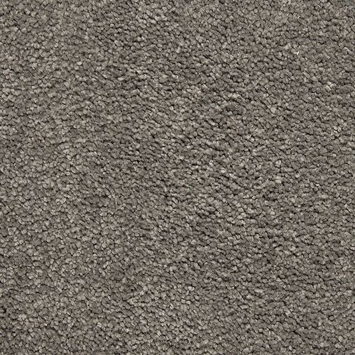 Awaited Delight|Dorian|2W89-524 - Sample