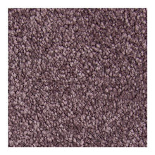 Load image into Gallery viewer, Inviting Charisma|Velvet Lining|3A11-517 - Sample