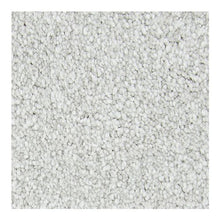 Load image into Gallery viewer, Notable Choice|Platinum|BP72B-520 - Sample