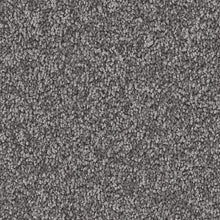 Load image into Gallery viewer, Exceptional Choice|Alden Charcoal|3A03-556 - Sample