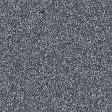 Load image into Gallery viewer, Interesting Outlook|Brushed Metal|3A19-543 - Sample