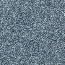 Load image into Gallery viewer, Biltmore Forest|Nile Mist|2Z72-561 - Sample