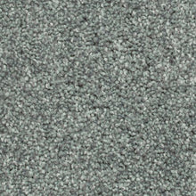 Load image into Gallery viewer, Biltmore Forest|Peacock|2Z72-665 - Sample