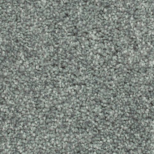 Biltmore Forest|Peacock|2Z72-665 - Sample