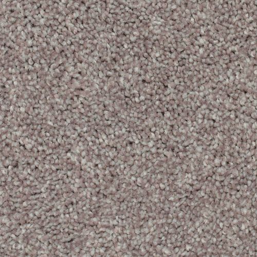 Biltmore Forest|Bliss|2Z72-779 - Sample