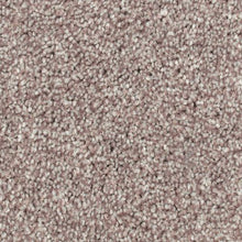 Load image into Gallery viewer, Biltmore Forest|Charmer|2Z72-799 - Sample