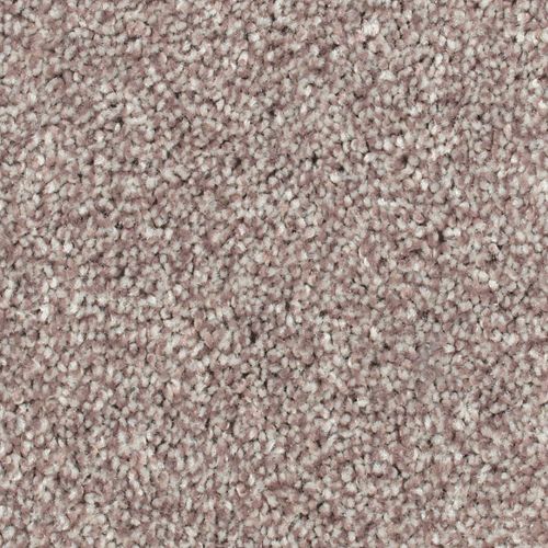 Biltmore Forest|Charmer|2Z72-799 - Sample