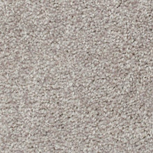 Load image into Gallery viewer, Biltmore Forest|Warmest Beige|2Z72-820 - Sample