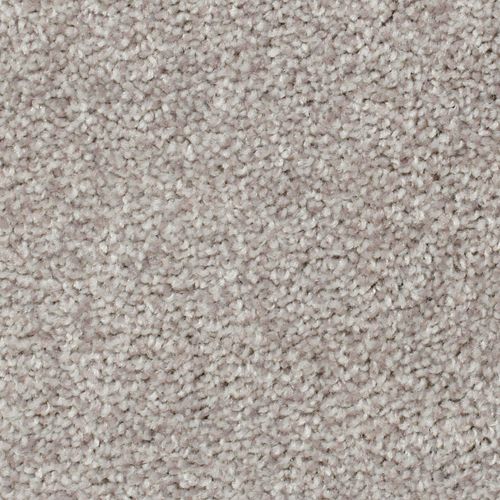 Biltmore Forest|Warmest Beige|2Z72-820 - Sample