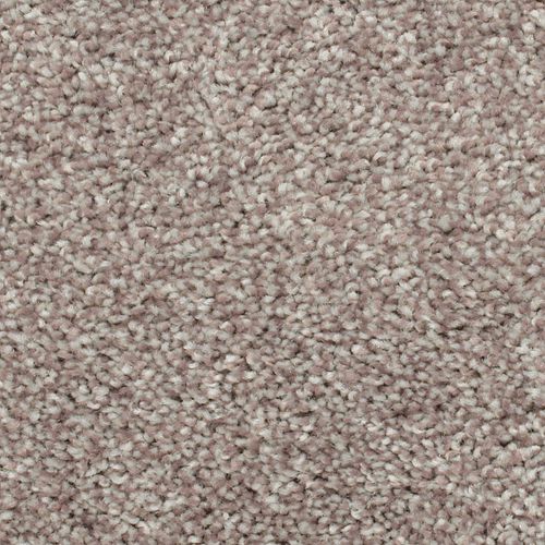 Biltmore Forest|Turk|2Z72-839 - Sample