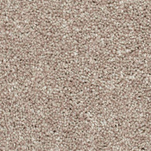 Load image into Gallery viewer, Biltmore Forest|Woodland|2Z72-858 - Sample