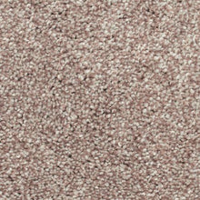 Load image into Gallery viewer, Biltmore Forest|Sonora|2Z72-861 - Sample