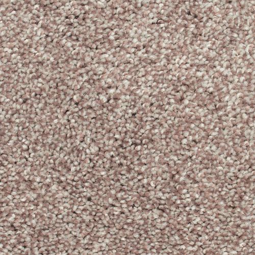 Biltmore Forest|Sonora|2Z72-861 - Sample