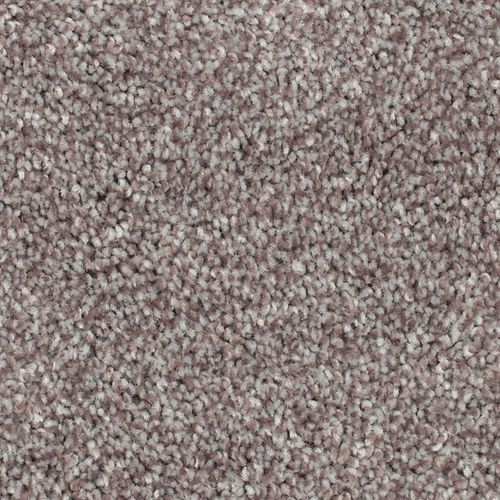 Biltmore Forest|Teak|2Z72-879 - Sample