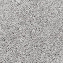 Load image into Gallery viewer, Biltmore Forest|Lamb&#39;s Ear|2Z72-923 - Sample