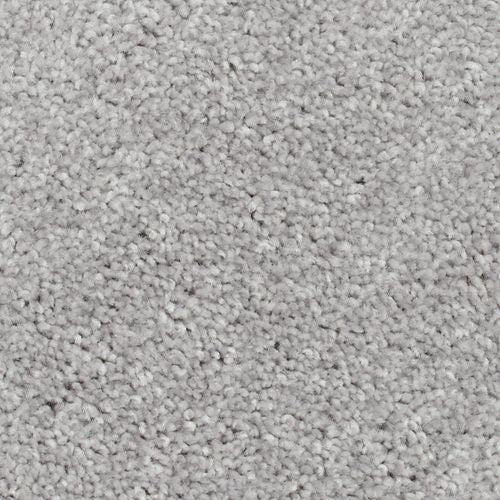 Biltmore Forest|Lamb's Ear|2Z72-923 - Sample