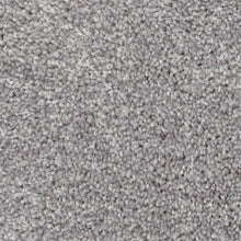 Load image into Gallery viewer, Biltmore Forest|Yorktown|2Z72-933 - Sample