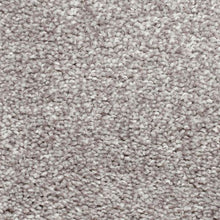 Load image into Gallery viewer, Biltmore Forest|Cathedral|2Z72-948 - Sample