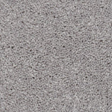 Load image into Gallery viewer, Biltmore Forest|Light Ray|2Z72-959 - Sample