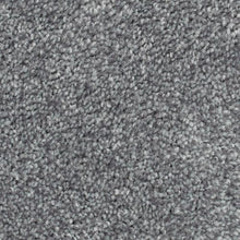 Load image into Gallery viewer, Biltmore Forest|Spellbound|2Z72-973 - Sample