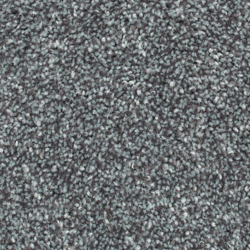 Biltmore Forest|Eternity|2Z72-989 - Sample