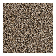 Load image into Gallery viewer, Color Harmony I|Bridle|3B56-789 - Sample