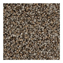 Load image into Gallery viewer, Color Harmony I|Driftwood|3B56-849 - Sample