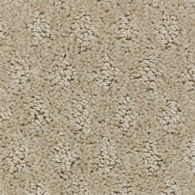 Load image into Gallery viewer, Arbor Wonder|Creamer|2Z79-721 - Sample