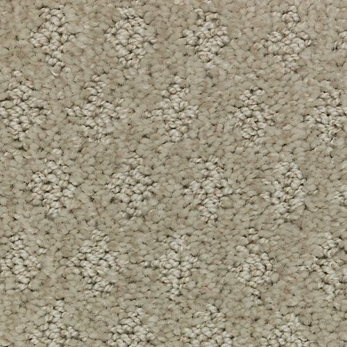 Arbor Wonder|Sand Dollar|2Z79-755 - Sample
