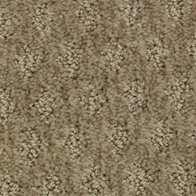 Load image into Gallery viewer, Arbor Wonder|Carmelita|2Z79-781 - Sample