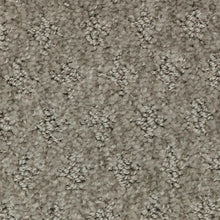 Load image into Gallery viewer, Arbor Wonder|Longhorn|2Z79-839 - Sample