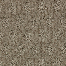 Load image into Gallery viewer, Arbor Wonder|Fontaine|2Z79-857 - Sample