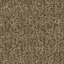 Load image into Gallery viewer, Arbor Wonder|Desert Accents|2Z79-861 - Sample