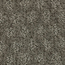 Load image into Gallery viewer, Arbor Wonder|Truffle|2Z79-889 - Sample