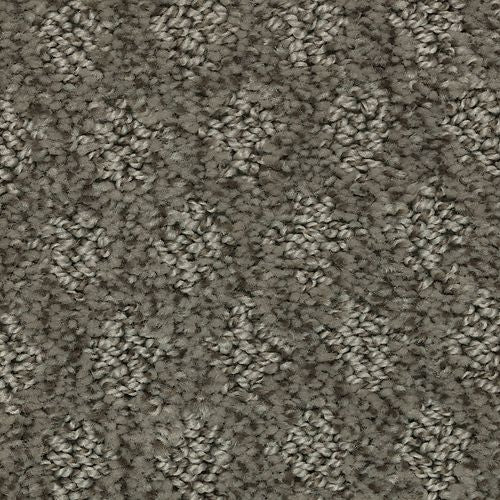 Arbor Wonder|Truffle|2Z79-889 - Sample