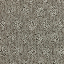 Load image into Gallery viewer, Arbor Wonder|Star Dust|2Z79-948 - Sample