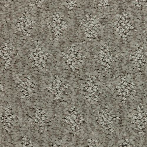 Arbor Wonder|Star Dust|2Z79-948 - Sample