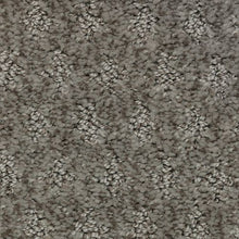 Load image into Gallery viewer, Arbor Wonder|Smokescreen|2Z79-974 - Sample