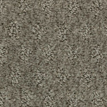 Load image into Gallery viewer, Arbor Wonder|Urban|2Z79-978 - Sample