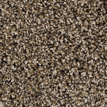 Load image into Gallery viewer, Enchantingly Soft I|Sand Swept|3B37-836 - Sample