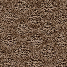 Load image into Gallery viewer, Blissful Outlook|Basketweave|3A48-781 - Sample