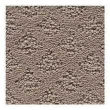 Load image into Gallery viewer, Classic Style|Angel Silk|3A46-810 - Sample
